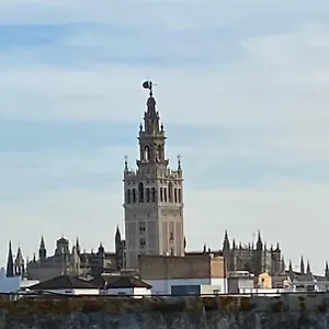 https://atico-caleria-con-vistas-a-la-giralda.es-andalucia.com